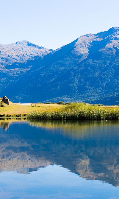 低碳咨詢服務(wù)